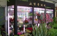 YK 韩式鲜花保鲜柜